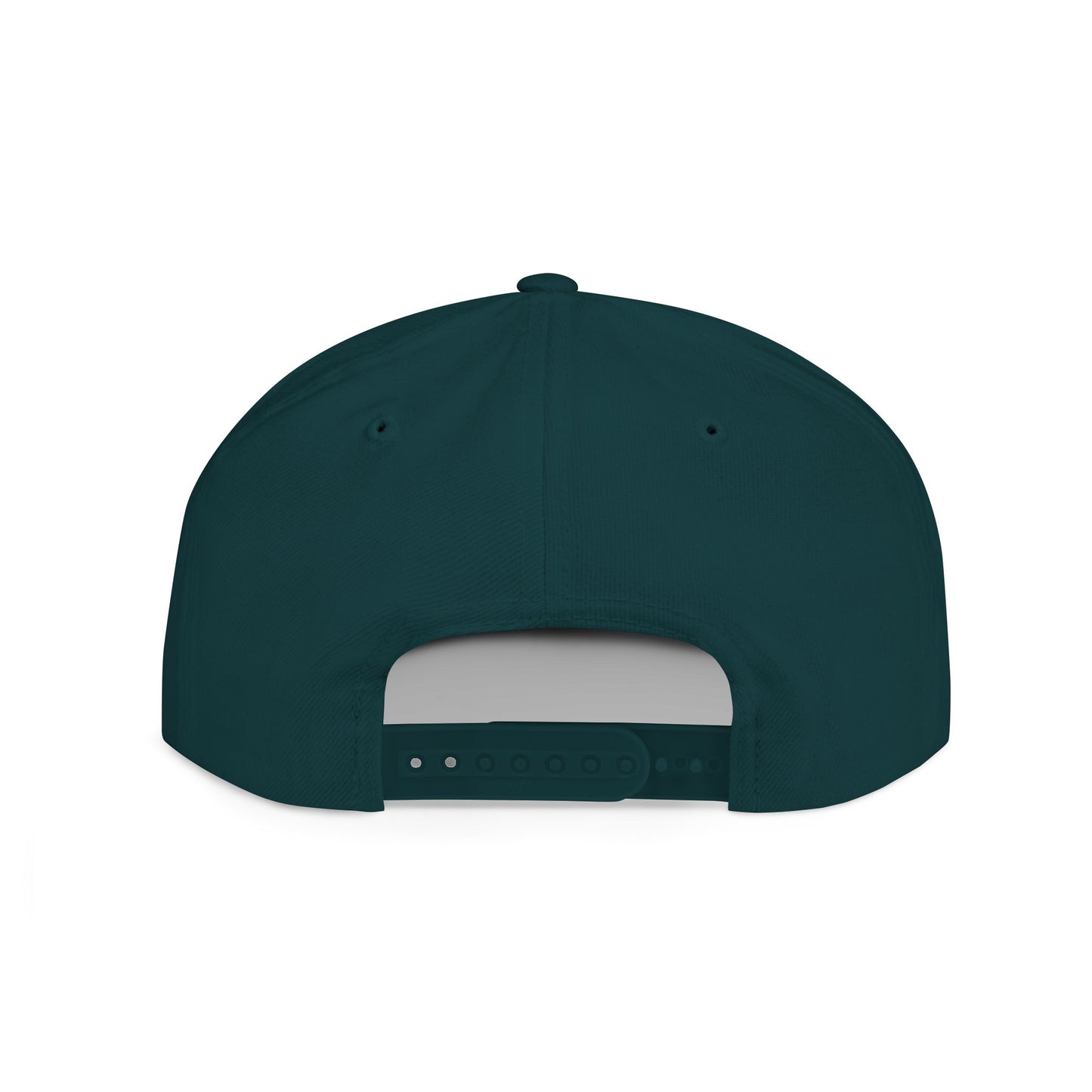 Silently Moving Successfully Snapback with Money Design - Trendy Cap for Streetwear Lovers