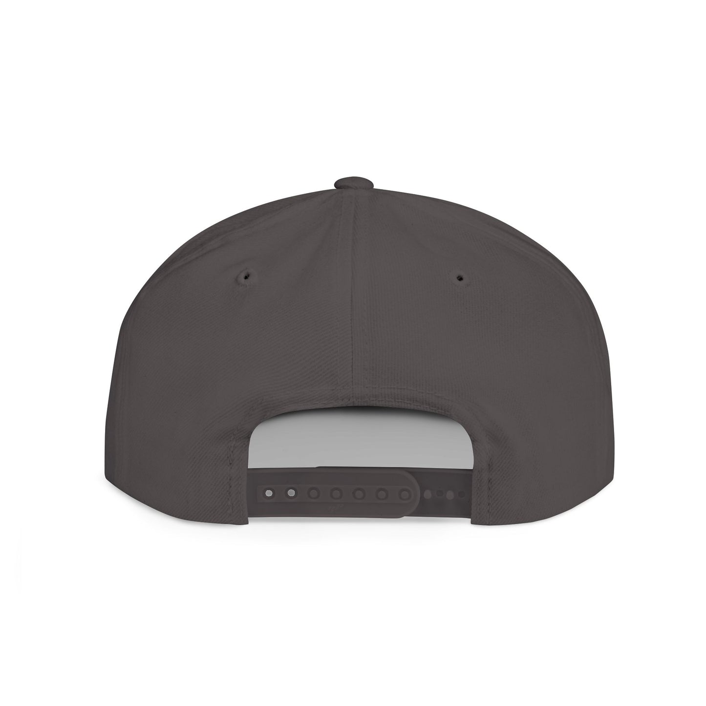 Silently Moving Successfully Snapback with Money Design - Trendy Cap for Streetwear Lovers