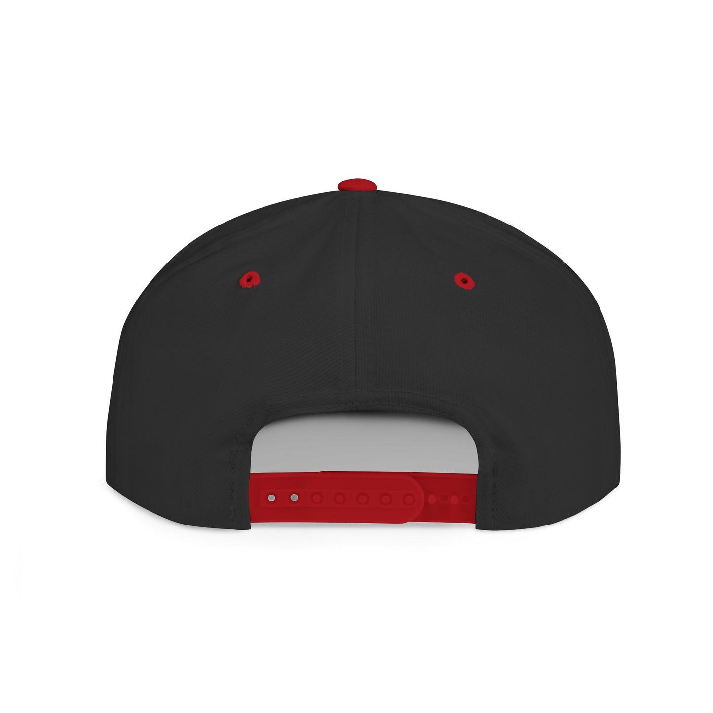 Silently Moving Successfully Snapback with Money Design - Trendy Cap for Streetwear Lovers